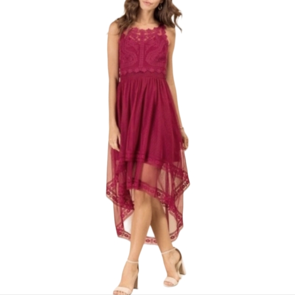 Francesca's Collections Dresses & Skirts - Francesca Lace Mesh High Low Dress Size L, Burgundy